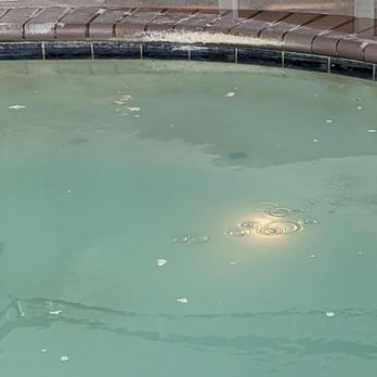 Hallmark Resort - Hot tub was gross. At first glance it was swampy looking. There was a light brown film in the bubbles and around the edge of the hot tub. - Resorts Near Me - Newport, Oregon Hallmark Resort - Hot tub was gross. At first glance it was swampy looking. There was a light brown film in the bubbles and around the edge of the hot tub. - Resorts Near Me - Newport, Oregon