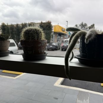 Valley Radiology - Sunnyvale - Cactus - Laboratory Testing Near Me - Sunnyvale, California