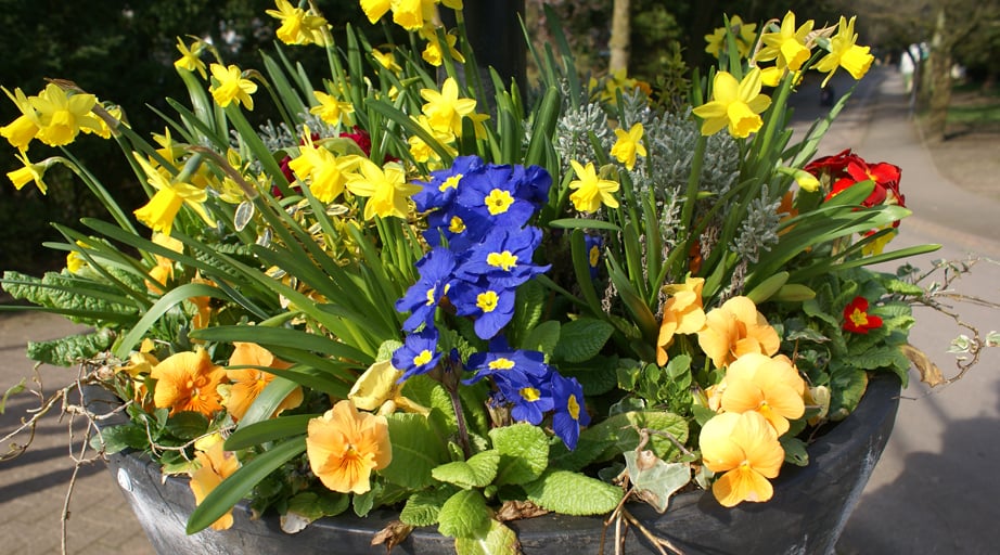 Ynysangharad War Memorial Park