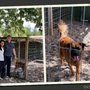 Photo of South Valley Boarding Kennels