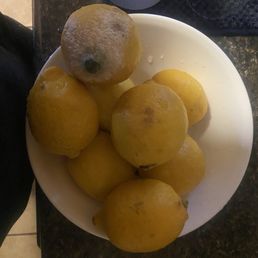 The lemons in the bag The lemons in the bag