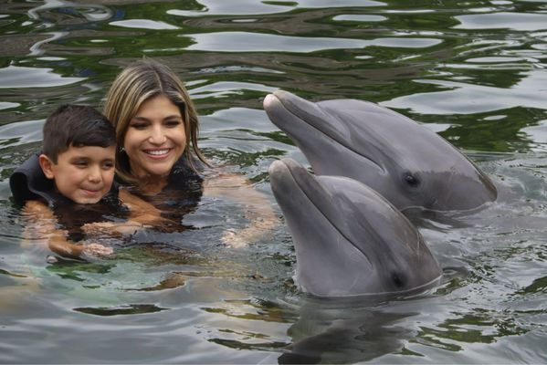 Dolphins Plus Marine Mammal Responder by null