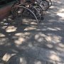 Photo of Jardines del Prado de San Sebastián