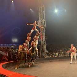 Universe Soul Circus
