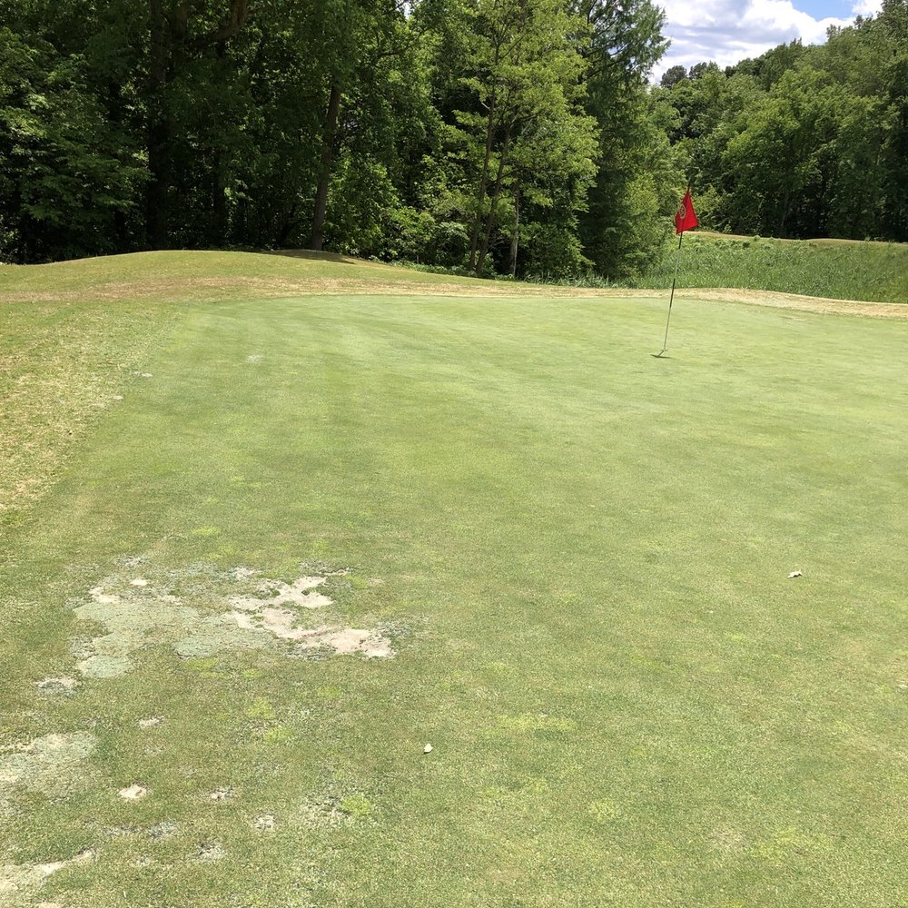 Kingsmill Golf Club - Golf Near Me - Williamsburg, Virginia Kingsmill Golf Club - Golf Near Me - Williamsburg, Virginia