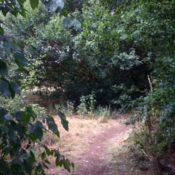 Weavers Fields - Weavers Fields Woodlands