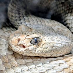 Indianapolis Zoo