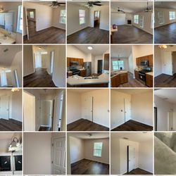 Designer Solutions - Full interior painting