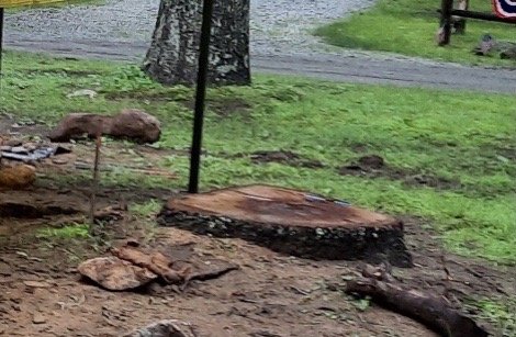 Powers Outdoor Services - tree service in Lebanon, CT