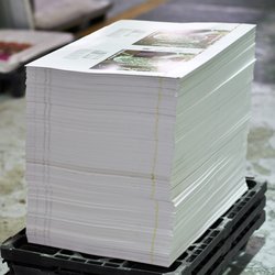 Your Printing Company By Dennis Bolton Enterprises