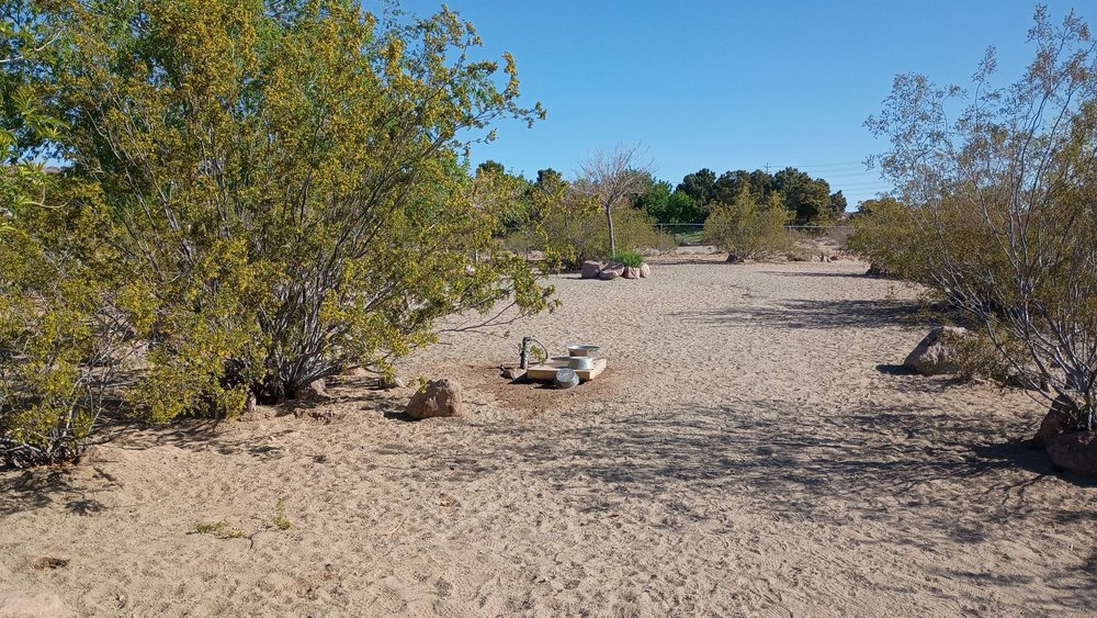 See Spot Run Dog Park - social services organization in Boulder City, NV