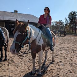 Bunker Park Stable - Mounted and Ready!