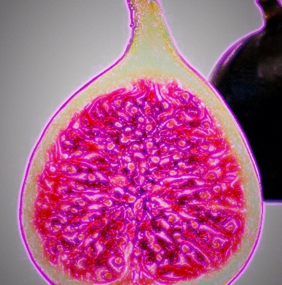 Slide of Mayhaw Fig Roofing