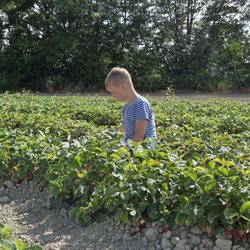 GJ Farms