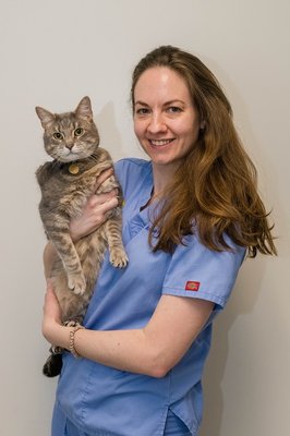 West Village Veterinary Hospital by null