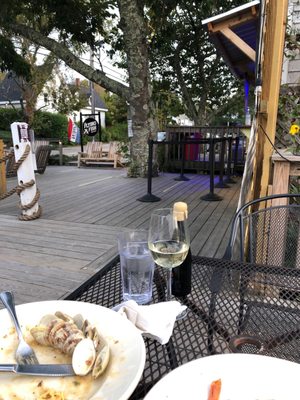 The Flying Fish by null