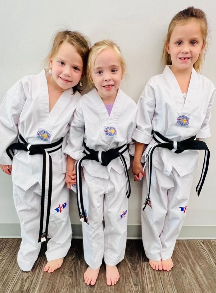 Fort Bend Martial Arts Academy Logo