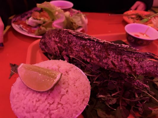 Lil' Deb's Oasis by null Lil' Deb's Oasis by null