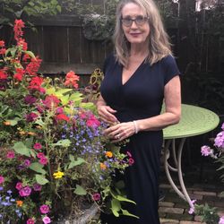 Jayne Helle - Evening in the gatden!