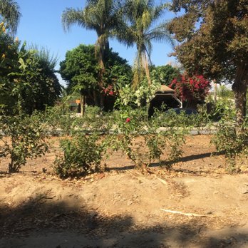 Martinez Nursery Nurseries Gardening 7761 Victoria Ave Martinez Nursery Nurseries