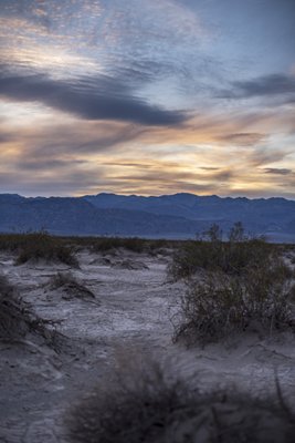 Mesquite Spring Campground by null