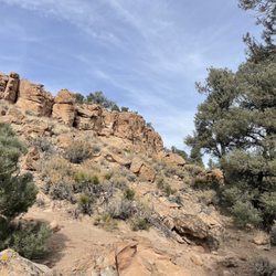 Hickison Petroglyph Recreation Area
