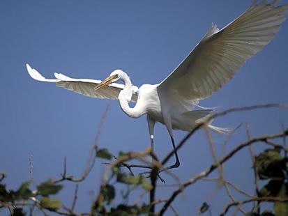 Parque Nacional dos Lençóis Maranhenses by null
