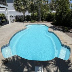 Grey Shark Pool Services - Another freshly cleaned pool