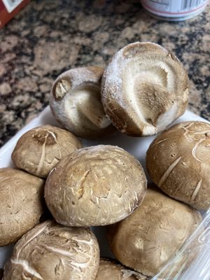 New Bangluck Market by null