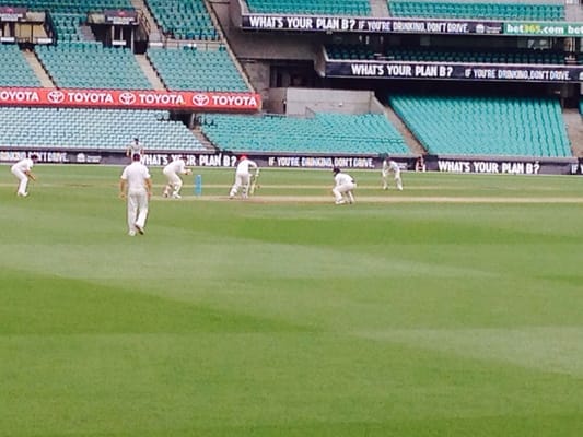 Sydney Cricket Ground by null