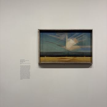 Harvard Art Museums - Art Museums Near Me - Cambridge, Massachusetts