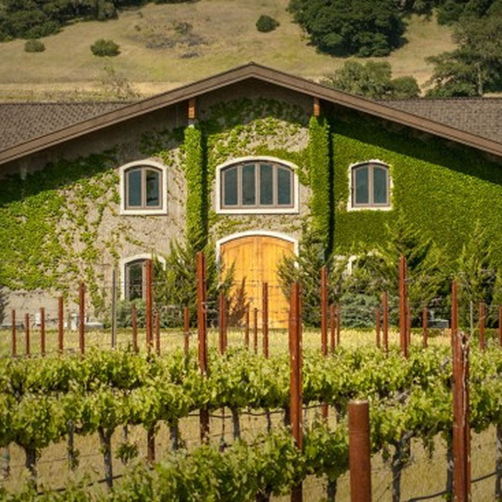 TOP 10 BEST Wine Tours in Solano County, CA - Updated 2026 - Yelp