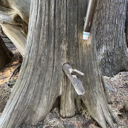 Ohme Gardens - Water faucet