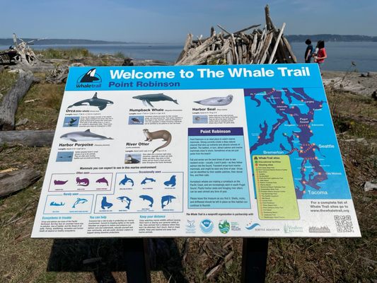 Point Robinson Lighthouse by null