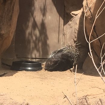 Denver Zoo - Zoos Near Me - Denver, Colorado