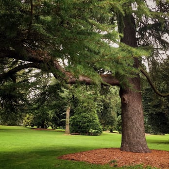 Volunteer Park - Walk... - Parks Near Me - Seattle, Washington