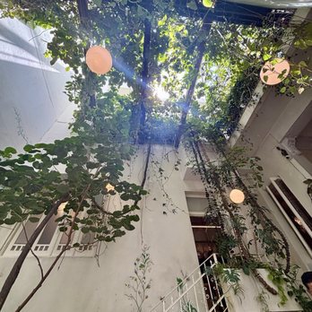 Rosetta - Interior - Italian Near Me - Ciudad de México, DIF Rosetta - Interior - Italian Near Me - Ciudad de México, DIF