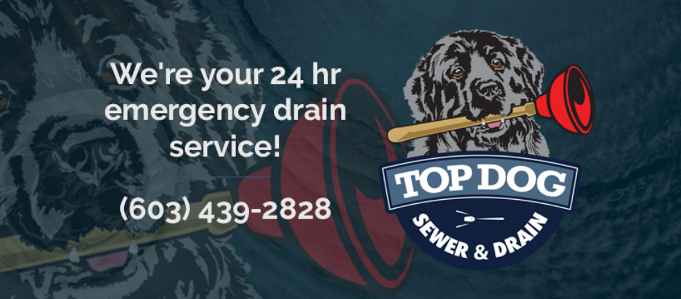 Slide of Top Dog Sewer & Drain