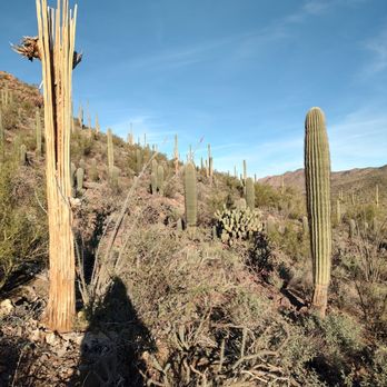 Brown Mountain Trailhead - Skeleton still standing - Hiking Near Me - Tucson, Arizona