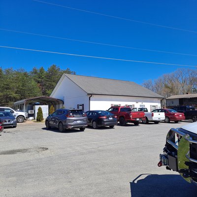 Darwin's Cafe by null