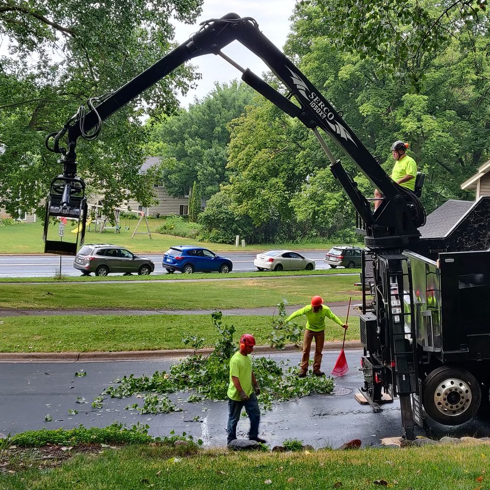 TOP 10 BEST Tree Removal near Savage, MN - December 2023 - Yelp