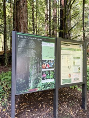 Lady Bird Johnson Grove Trail by null