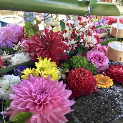 Shōrin-ji Temple by null