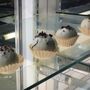 Macaronage Sweets And Patisserie