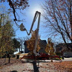 Tim Andrews Horticulturist - Spider lift