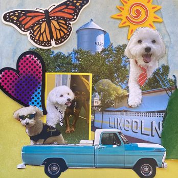 The Lincoln Marfa - Enzo the Dog's Great Marfa Adventure.  Sweet Lou captured his heart. - Hotels Near Me - Marfa, Texas