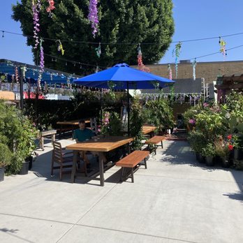 Plántate Café - Tansy and Plántate outside seating. - Coffee & Tea Near Me - Burbank , California Plántate Café - Tansy and Plántate outside seating. - Coffee & Tea Near Me - Burbank , California
