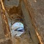 Pure Water Plumbing