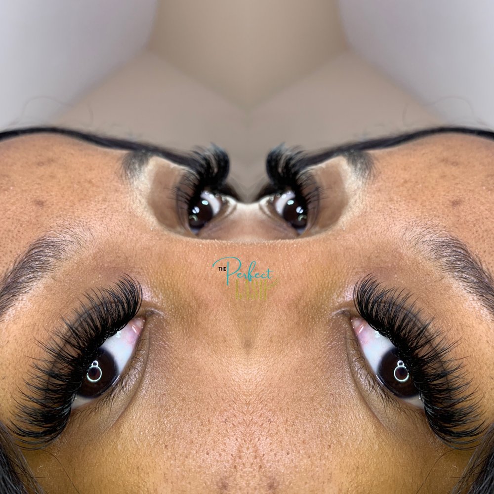 THE PERFECT LASH Updated October 2024 53 Photos 1933 Richard