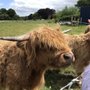 Photo of WOW Scotland